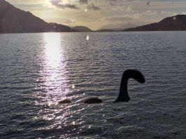 Con la genetica la verità sul mostro di Loch Ness