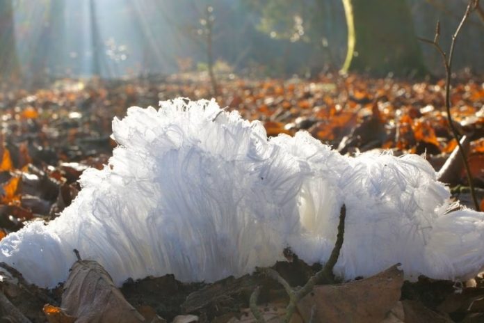 Gli strani capelli di ghiaccio