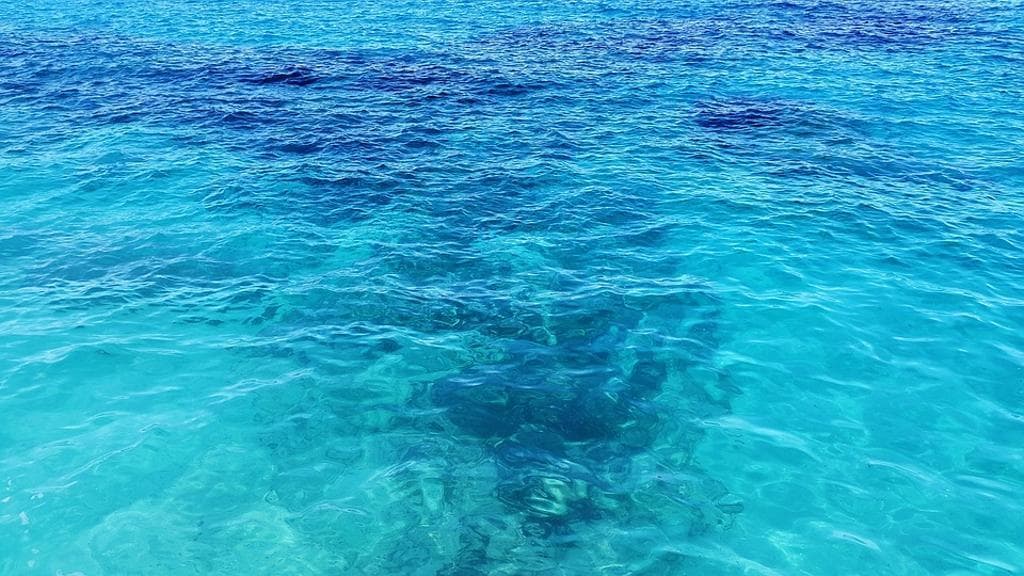 Un'enorme quantità d'acqua dell'oceano viene assorbita dalle linee di faglia tettonica. Dove va a finire?, Atlantico 