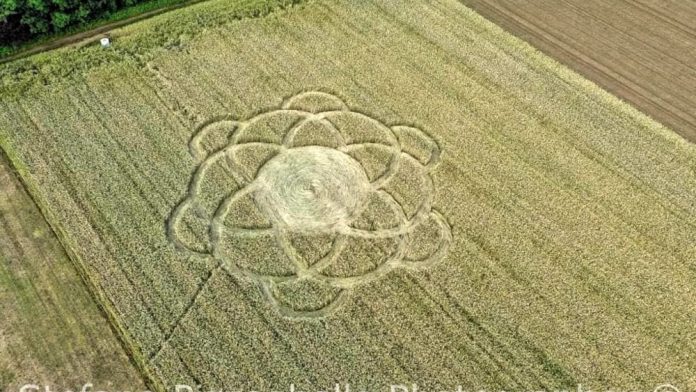 I cerchi nel grano, furbate tra marketing e inganni