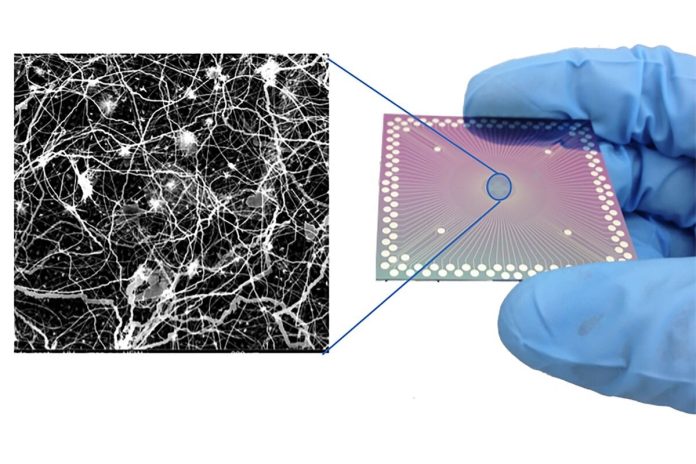 Un circuito di sottili fili d'argento dimostra proprietà simili al cervello