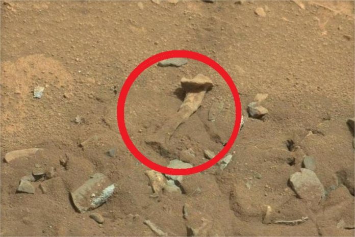 Resti umani e altre amenità su Marte