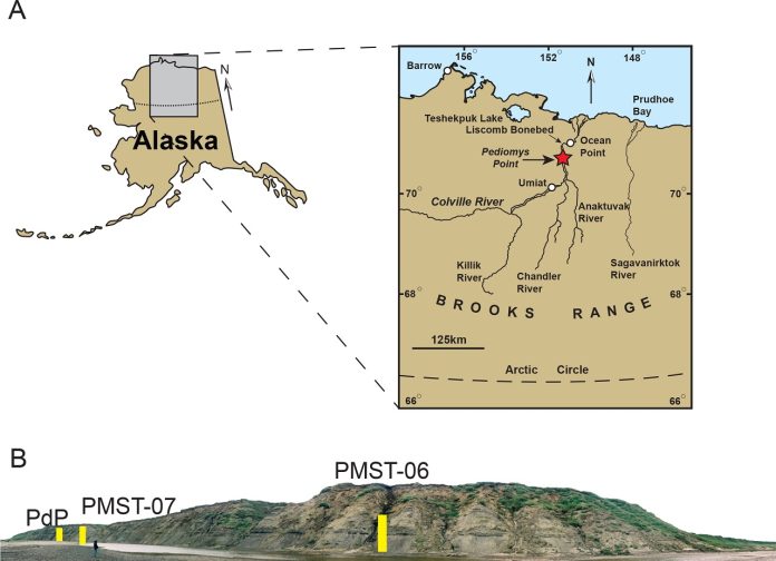 Scoperto in Alaska il fossile di un cucciolo di rapace vissuto circa 70 milioni di anni fa