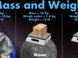 Cos'è la massa e perché la materia pesa?