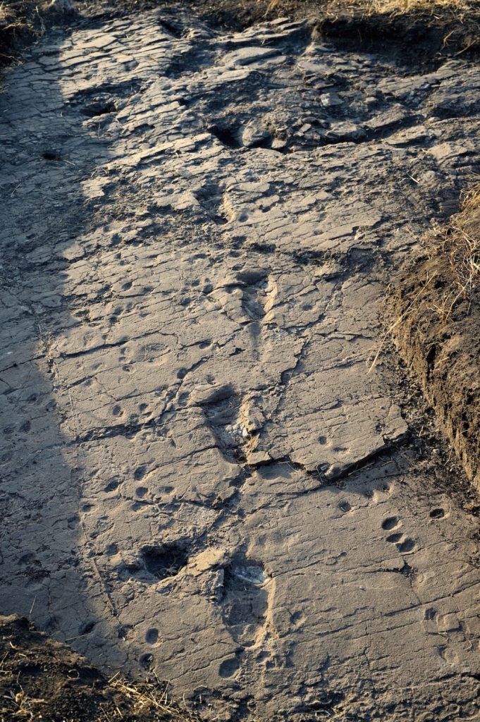 Impronte umane fossili, in Tanzania la maggiore concentrazione