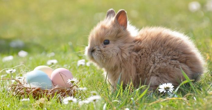 Perché la Pasqua si chiama così?