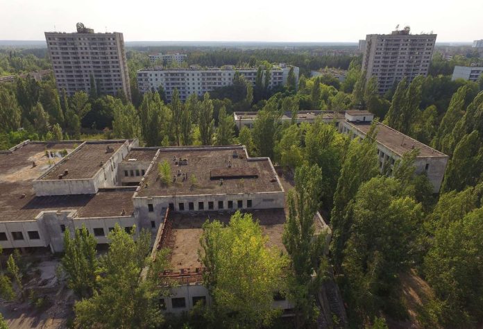 Alberi e piante di Chernobyl. Perché non muoiono di cancro?