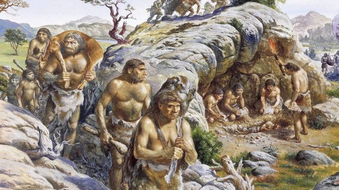 Gli uomini di Neanderthal avevano un'alimentazione molto varia