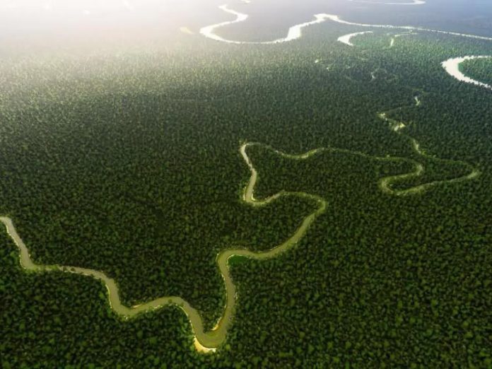 Scoperti 11 antichi insediamenti sconosciuti in Amazzonia