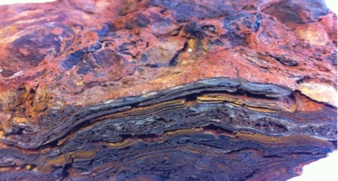 Stromatoliti: uno dei primi segni di vita sulla Terra