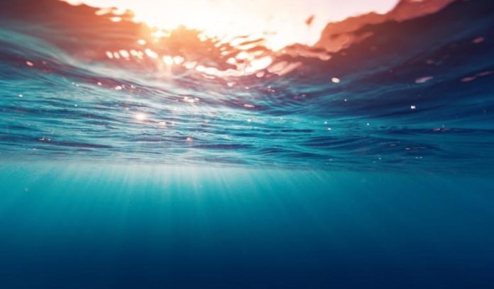 Fertilizzare l'oceano per immagazzinare anidride carbonica