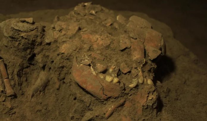 Trovati antichi resti di una donna appartenente ad una stirpe sconosciuta