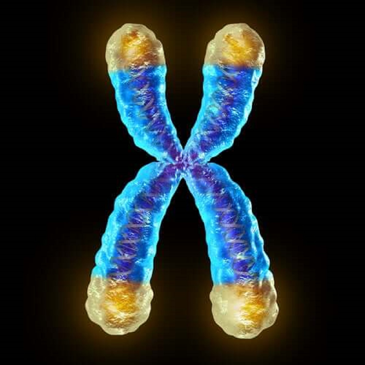I telomeri influenzano l'invecchiamento
