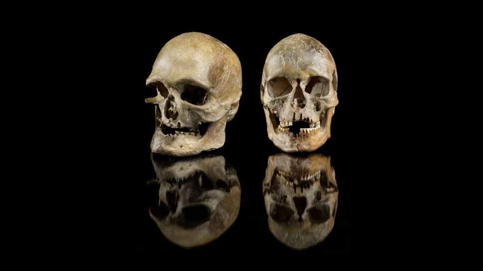 Questi crani maschili e femminili sono stati trovati a Oberkassel, nella Germania occidentale, anche se geneticamente questi due sarebbero originari del sud. Si ritiene che questa sia la più antica prova di migrazione durante un riscaldamento climatico.(Credito immagine: Jürgen Vogel, LVR-LandesMuseum Bonn)
