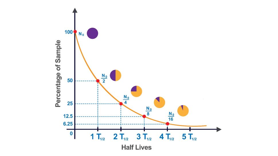 Curva dell'emivita che mostra il decadimento radioattivo.(Credito immagine: Nandalal Sarkar)
