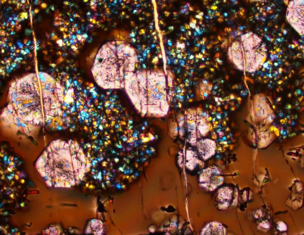 Un'immagine al microscopio di un esperimento condotto per questo studio. L'immagine contiene vetro (marrone), grandi granati (rosa) e altri piccoli cristalli minerali. Il campo visivo è largo 410 micron, circa le dimensioni di un cristallo di zucchero. Credito: G. Macpherson e E. Cottrell, Smithsonian
