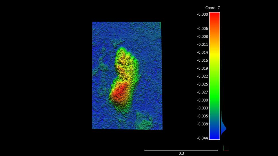 Un'immagine della traccia fotogrammetrica 3D da un sito vicino alla posizione delle stampe più antiche. Questa traccia è più giovane, nella fascia di età compresa tra 76.000 e 90.000 anni, ma l'impronta è molto chiara. (Le scale orizzontali e verticali sono in metri.)(Credito immagine: Charles Helm)
