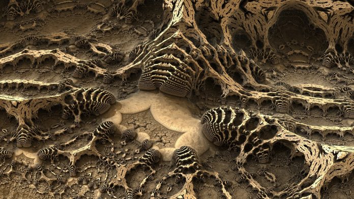 Un deposito di fossili potrebbe darci informazioni sulle prime forme di vita