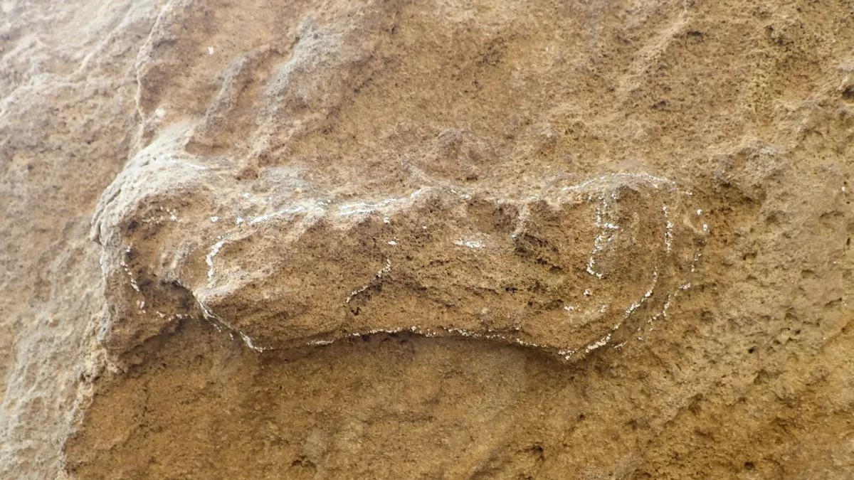 Trovate impronte di Homo sapiens risalenti a 153.000 anni fa