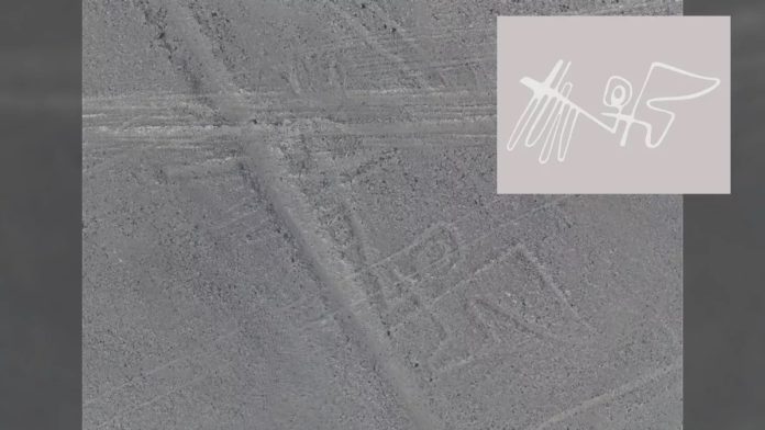 L'AI identifica 3 nuove figure a Nazca