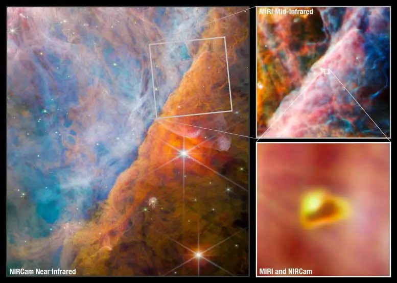 Queste immagini di Webb mostrano una parte della Nebulosa di Orione nota come Barra di Orione. È una regione in cui la luce ultravioletta energetica proveniente dall'ammasso del trapezio, situata nell'angolo in alto a sinistra, interagisce con dense nubi molecolari. L'energia della radiazione stellare sta lentamente erodendo la barra di Orione, e questo ha un profondo effetto sulle molecole e sulla chimica nei dischi protoplanetari che si sono formati attorno alle stelle appena nate qui.

L'immagine più grande, a sinistra, proviene dallo strumento NIRCam (Near-Infrared Camera) di Webb. In alto a destra, il telescopio è focalizzato su un'area più piccola usando il MIRI (Mid-Infrared Instrument) di Webb. Al centro dell'area MIRI c'è un giovane sistema stellare con un disco protoplanetario chiamato d203-506. Il pullout in basso a destra mostra un'immagine combinata NIRCam e MIRI di questo giovane sistema.
Crediti: ESA/Webb, NASA, CSA, M. Zamani (ESA/Webb), PDRs4ALL ERS Team

