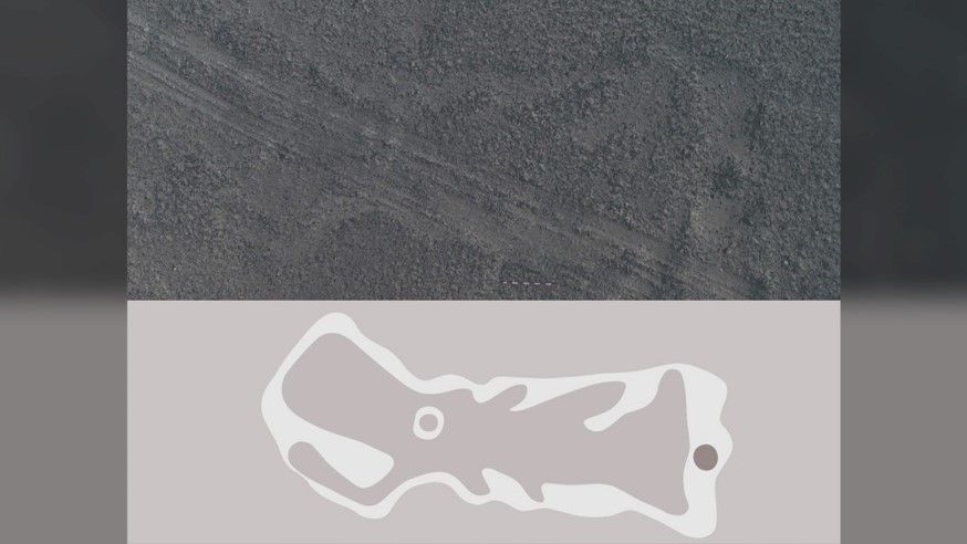 I primi geoglifi di Nazca furono riscoperti dai piloti di aerei peruviani negli anni '20; ora ne sono stati trovati più di 350, incluso questo di un pesce. (Credito immagine: Istituto universitario Yamagata di Nasca)
