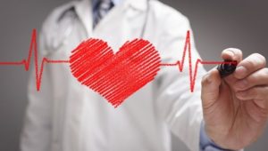 Una nuova ricerca di Harvard rivela come il cuore inizia a battere, infarto 