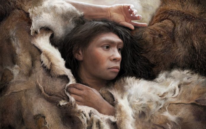 Perché alcune persone hanno più DNA di Neanderthal rispetto ad altre?