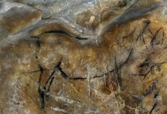 La pareidolia nelle pitture rupestri di 40.000 anni fa
