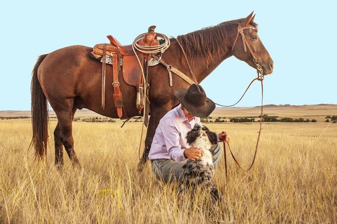 Mondo Cowboy: Il Tuo Angolo di West nel Mondo Digitale