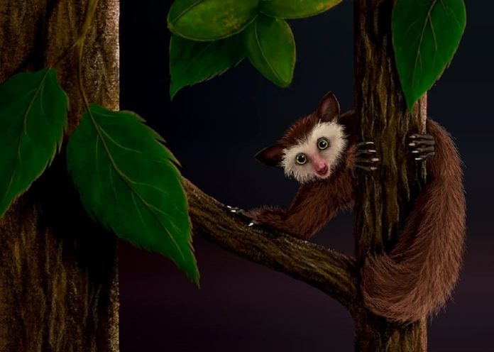 Ekgmowechashala: l'ultimo primate vissuto nel Nord America
