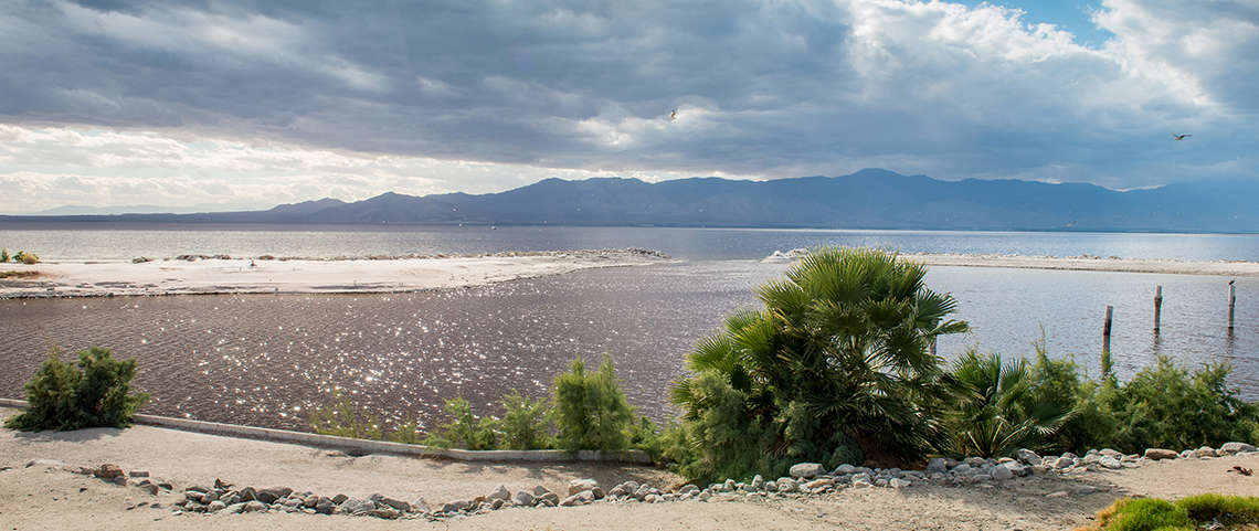 Salton Sea