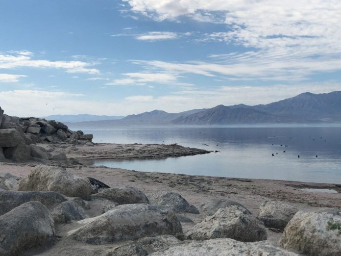 Salton Sea: il lago che custodisce 18 milioni di tonnellate di “oro bianco”