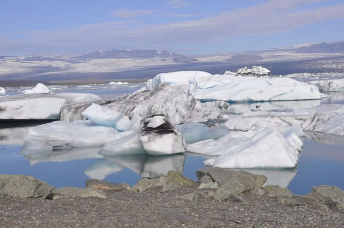 Il permafrost sta liberando sempre più organismi