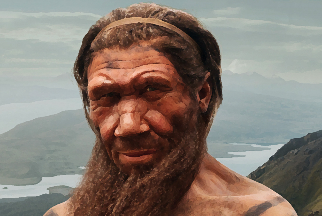 Neanderthal e homo sapiens, Adesivo multicomponente