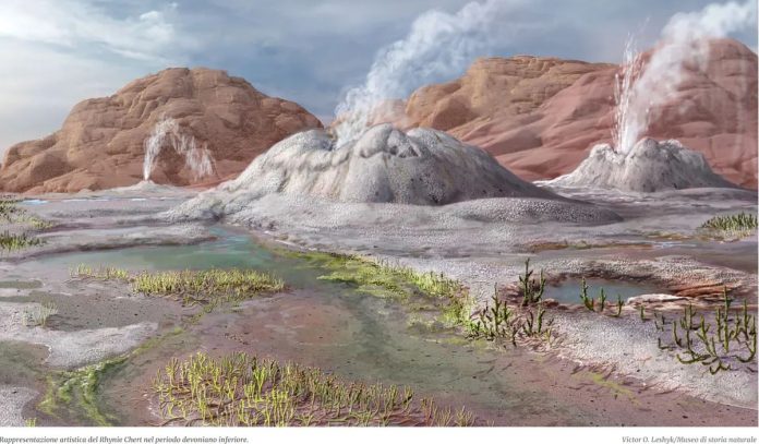 Scoperto il fossile vecchio 407 milioni di anni di un antico fungo patogeno