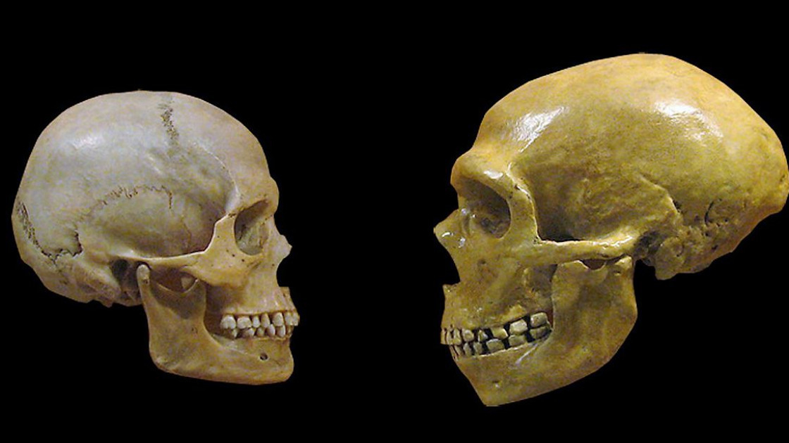 Fossili: una datazione precisa aiuta a capire meglio l'evoluzione dell'homo sapiens
