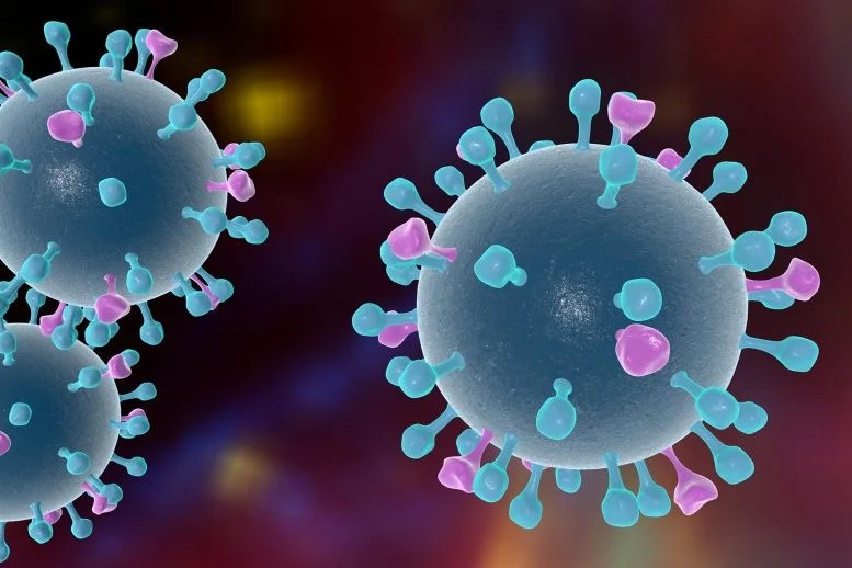 Influenza Viruses Illustration1