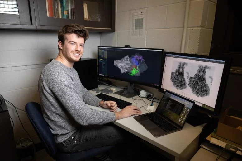 Jordan Crowell, un dottorato di ricerca in antropologia. Il candidato del CUNY Graduate Center ha lavorato con la moderna tecnologia di scansione TC per analizzare il cranio del picrodontide nel Mammalian Evolutionary Morphology Laboratory del Brooklyn College. Credito: Richard Petrias
