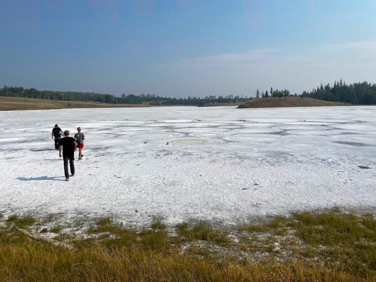 Il Last Chance Lake nel settembre 2022. Alla fine dell'estate, l'acqua nei laghi di soda è quasi tutta evaporata, lasciando sulla superficie una crosta salata.