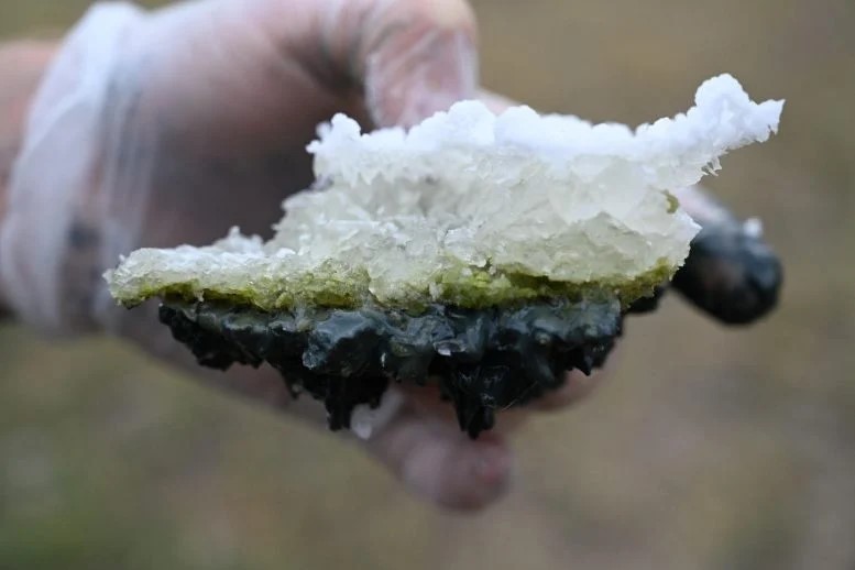 Sebastian Haas tiene in mano un pezzo della crosta di sale del Last Chance Lake (uno dei laghi di soda), con alghe verdi al centro e sedimento nero sul fondo. Credito: David Catling/Università di Washington
