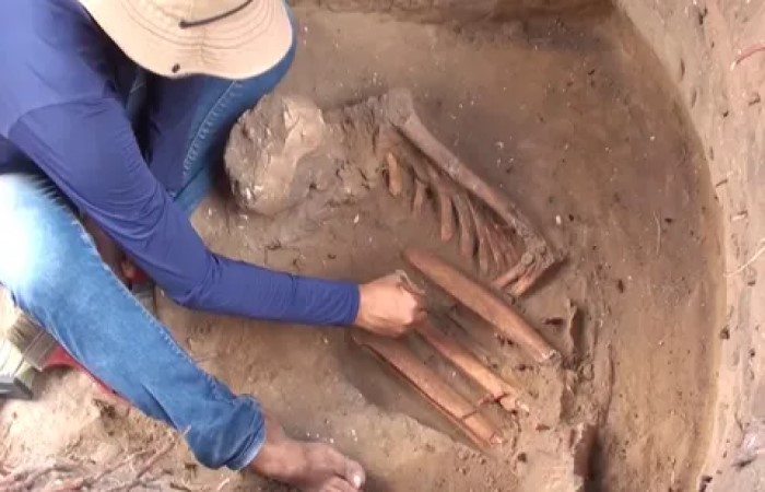 Resti umani rinvenuti nel sito archeologico di São Luís, in Brasile. (Credito immagine: W Lage Arqueologia)
