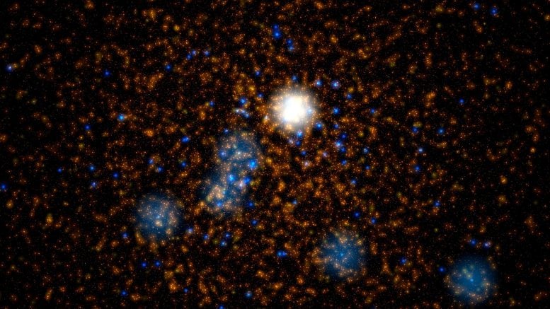 L'immagine raffigura un ammasso stellare simulato come calcolato nelle simulazioni Dragon-II. I punti arancioni e gialli rappresentano stelle simili al sole, mentre i punti blu indicano stelle con masse da 20 a 300 volte quella del Sole. Il grande oggetto bianco al centro rappresenta una stella con una massa di circa 350 masse solari, che a breve collasserà per formare un buco nero di massa intermedia. Crediti: © M. Arca Sedda (GSSI)

