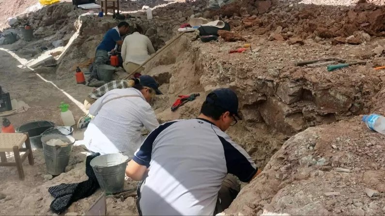 I ricercatori guidati dal Prof. Maoyan Zhu dell’Istituto di geologia e paleontologia di Nanchino dell’Accademia cinese delle scienze, hanno riferito la loro recente scoperta di fossili multicellulari risalenti a 1,63 miliardi di anni fa