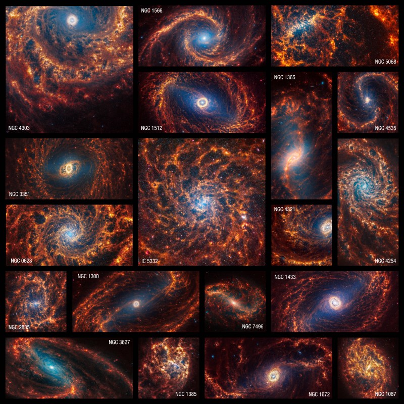 Un'immagine a mosaico che mostra tutte le 19 galassie a spirale recentemente osservate dal telescopio spaziale James Webb (Credito immagine: NASA, ESA, CSA, STScI, J. Lee (STScI), T. Williams (Oxford), PHANGS Team, E. Wheatley (STScI))
