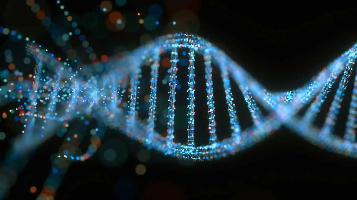 DNA antico, perché gli antenati umani hanno perso la coda