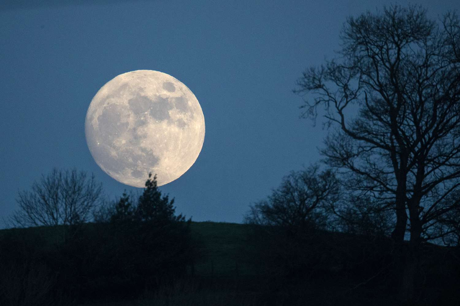La luna si sta restringendo, SCALPSS, mattoni di polvere lunare, telecamere di sorveglianza sulla Luna