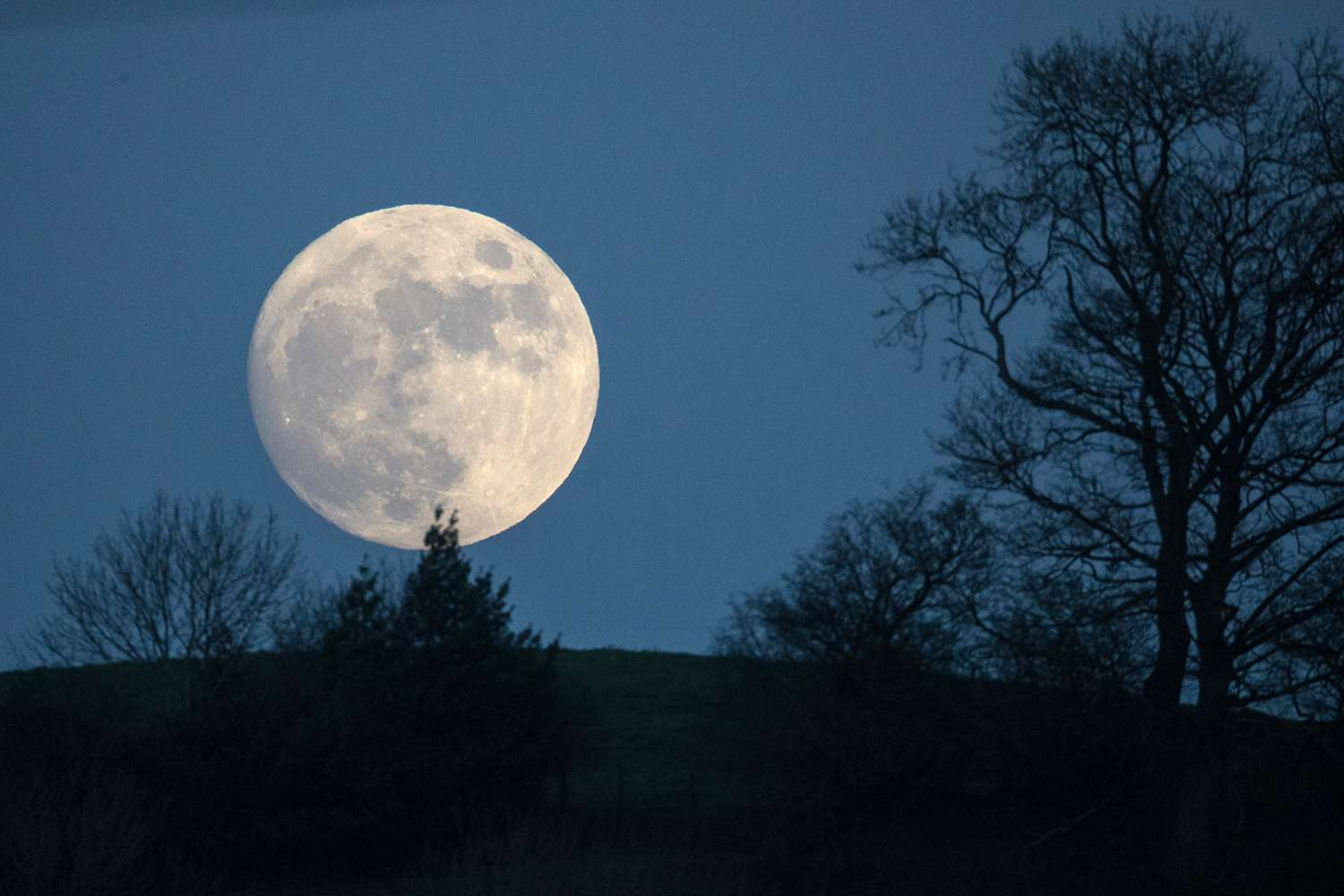 La luna si sta restringendo, SCALPSS, mattoni di polvere lunare