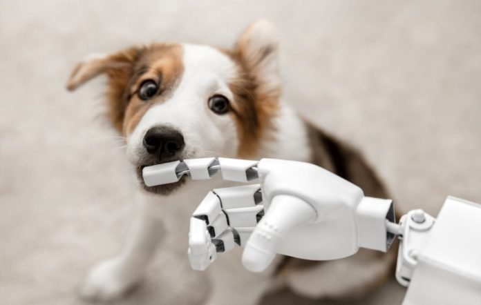Un nuovo algoritmo AI identifica le personalità dei cani