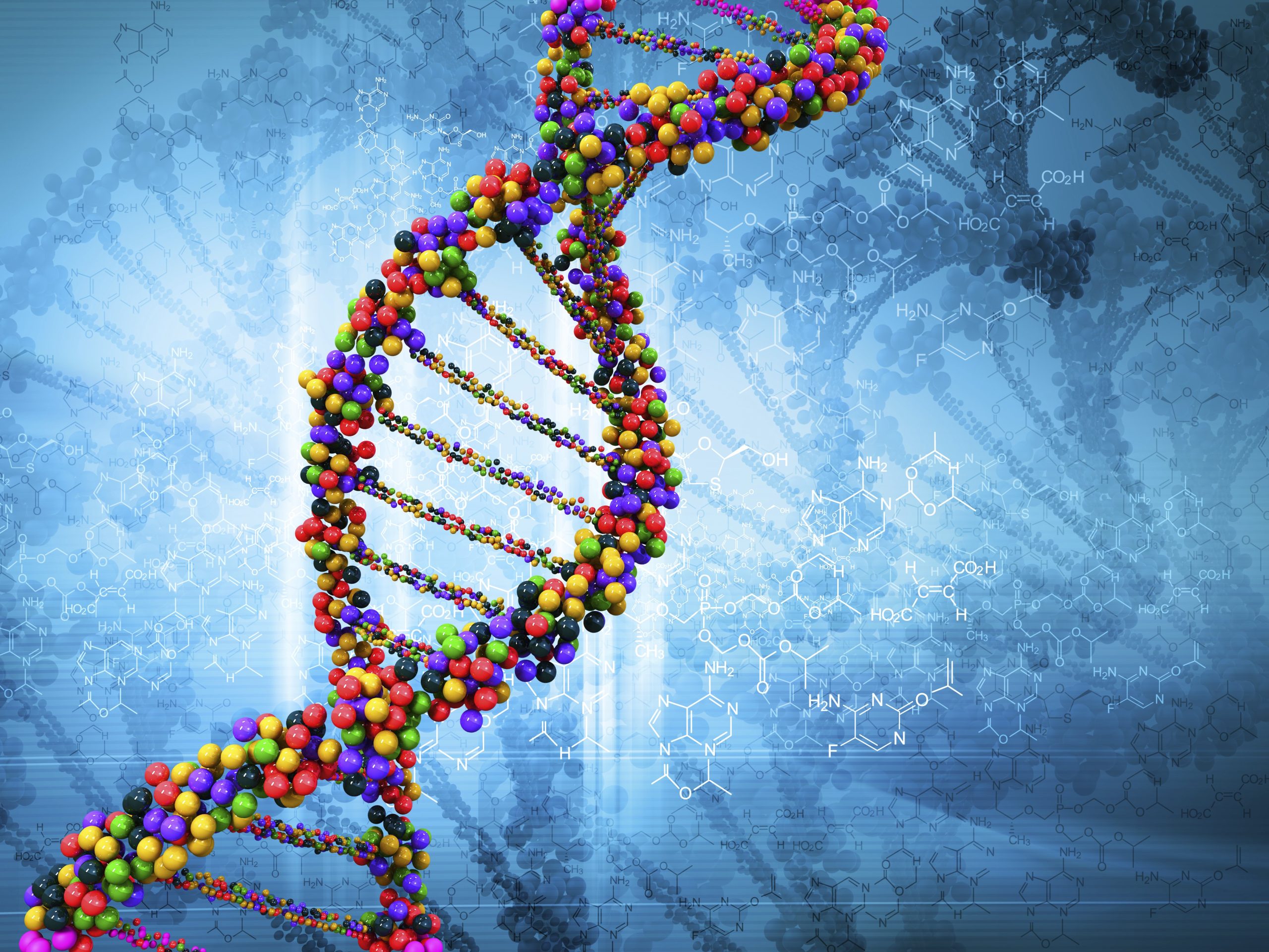 perché gli antenati umani hanno perso la coda, origini della vita